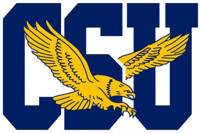 Coppin State Eagles 2017-Pres Primary Logo iron on transfers for clothing